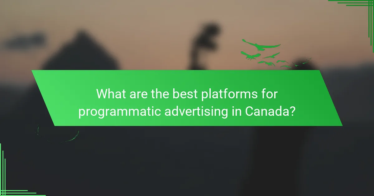 What are the best platforms for programmatic advertising in Canada?