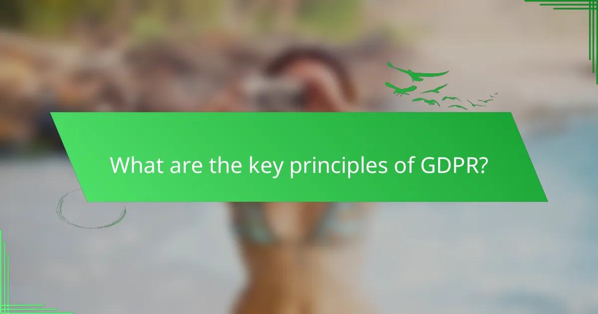 What are the key principles of GDPR?