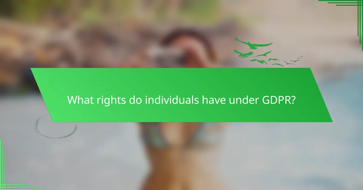 What rights do individuals have under GDPR?