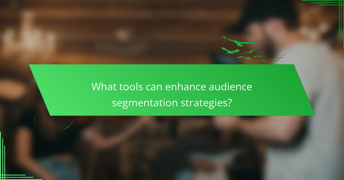 What tools can enhance audience segmentation strategies?