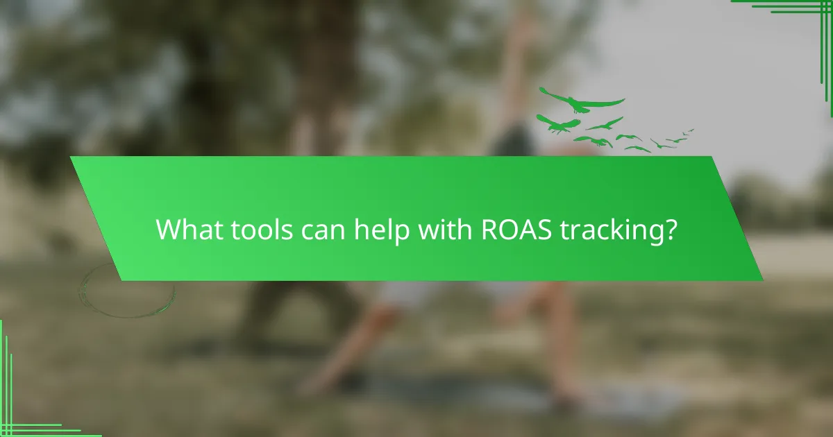 What tools can help with ROAS tracking?